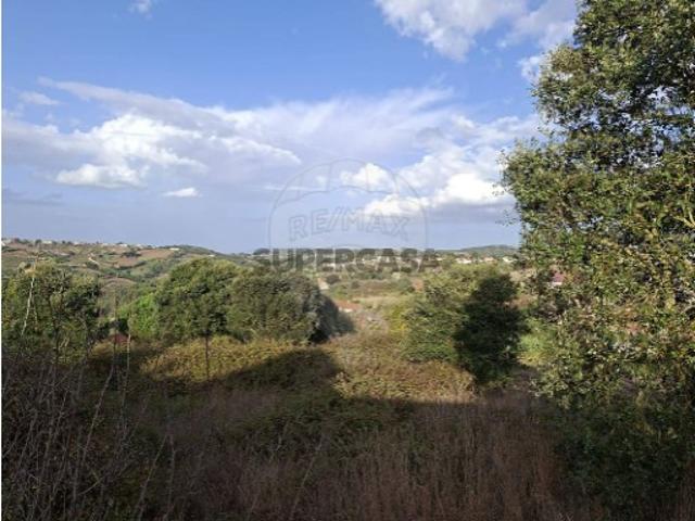 Terreno venda em Carvalhal Benfeito, Caldas da Rainha