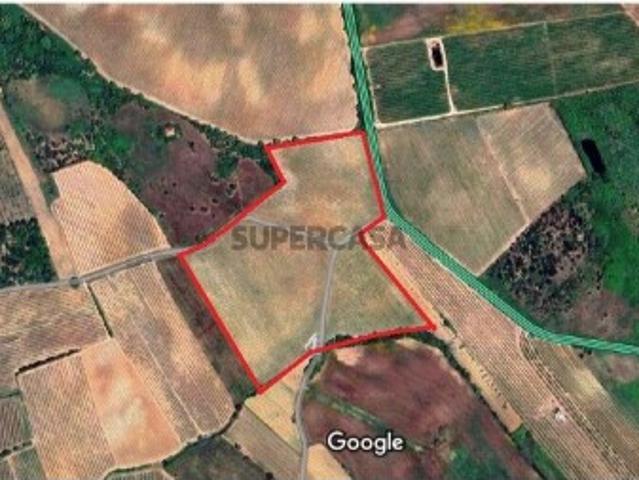 Terreno venda em Bombarral, Sobral do Parelhão Terreno venda em Bombarral, Sobral do Parelhão