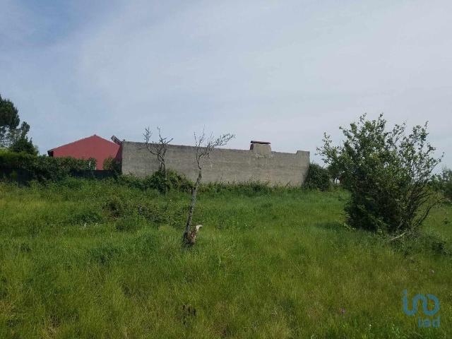 Terreno venda em Bombarral, Leiria