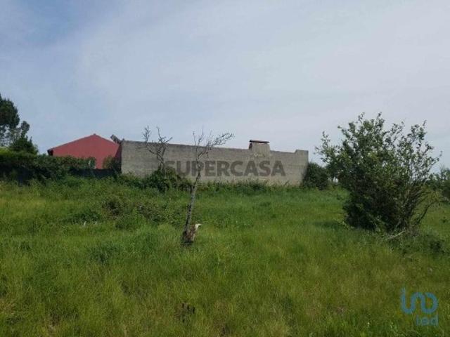 Terreno venda em Bombarral, Leiria