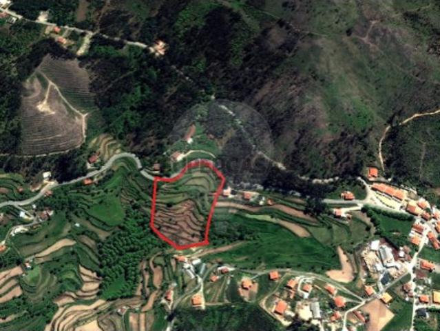 Terreno venda em Celorico De Basto, Braga