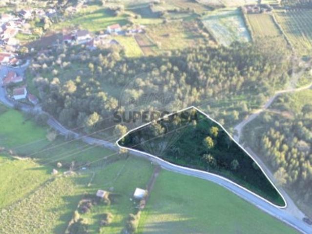 Terreno venda em Serra de São Julião, Torres Vedras