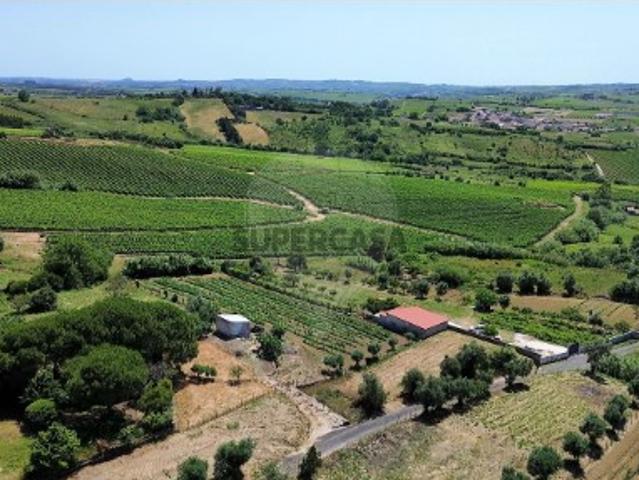 Terreno venda em Serra de São Julião, Torres Vedras