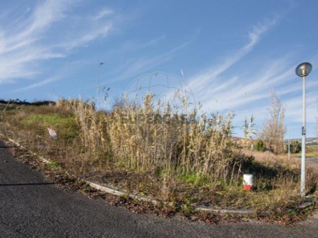 Terreno venda em Alfeiria, Torres Vedras