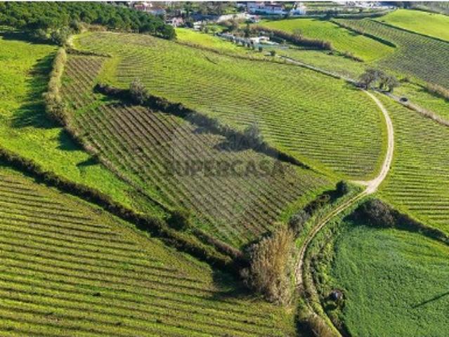 Terreno venda em Alfeiria, Torres Vedras