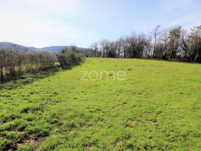 Terreno venda em Vila Verde, Braga