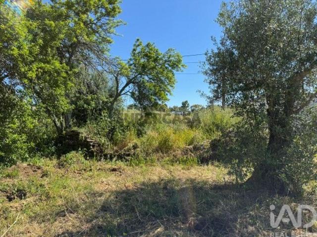 Terreno venda em Ganados, Tomar