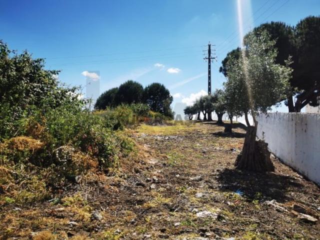 Terreno venda em Cartaxo e Vale da Pinta, Cartaxo