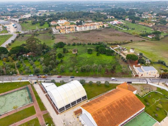 Terreno venda em Cartaxo e Vale da Pinta, Cartaxo