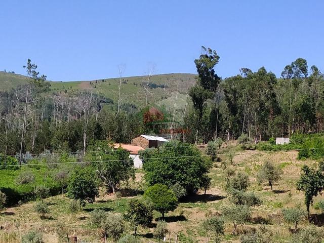 Terreno venda em Gestosa Fundeira, Castanheira De Pêra