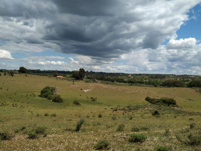 Terreno venda em Castelo Branco