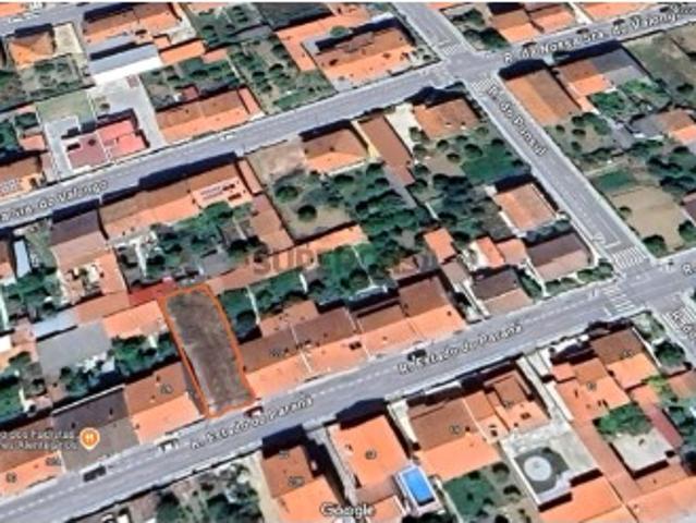 Terreno venda em Castelo Branco