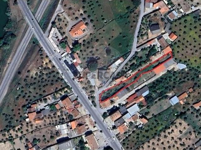 Terreno venda em Castelo Branco