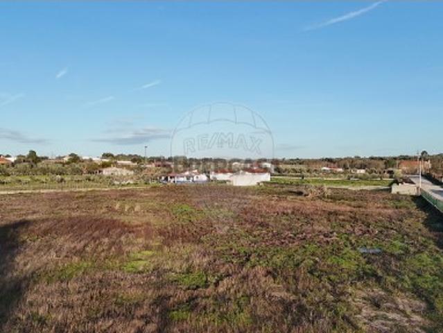 Terreno venda em Castelo Branco