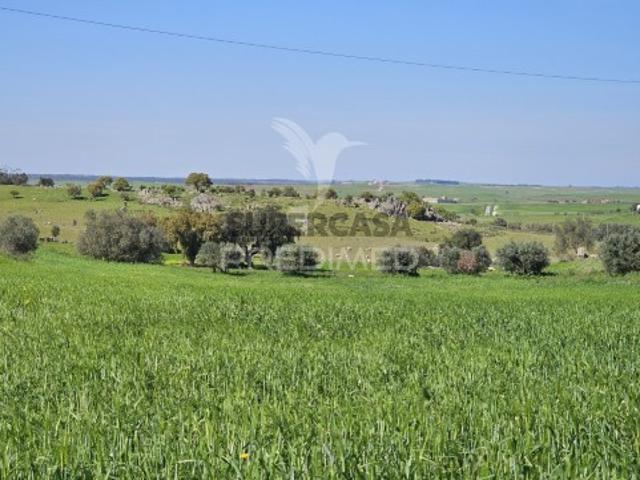 Terreno venda em Castro Verde, Beja