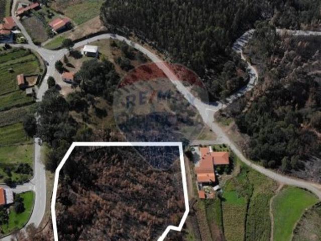 Terreno venda em Cedrim, Sever do Vouga
