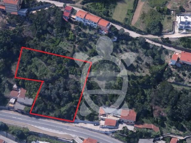 Terreno venda em Coimbrã, Ceira