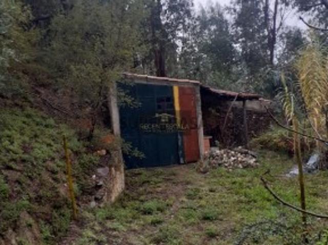 Terreno venda em Coimbrã, Ceira