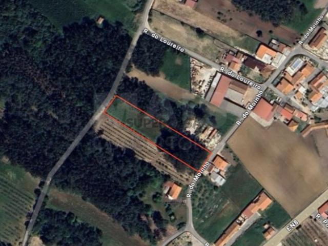 Terreno venda em Alcobaça, Leiria