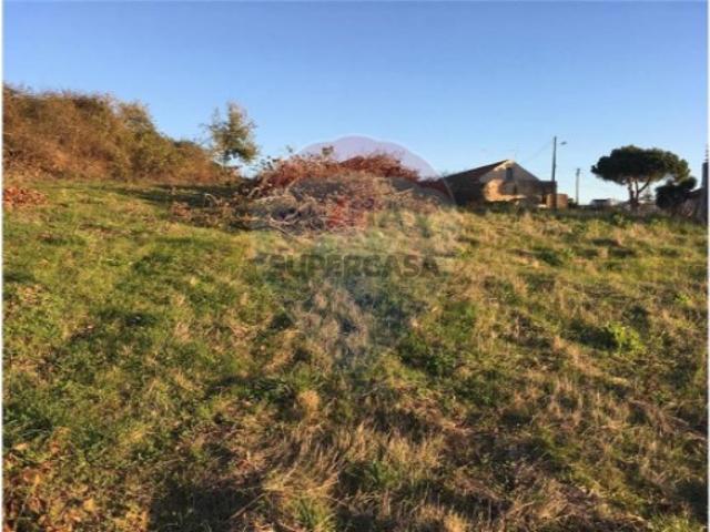Terreno venda em Alcobaça, Leiria