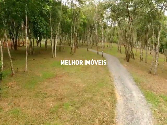 Terreno venda em Região Geográfica Imediata de Rio do Sul, Agronômica