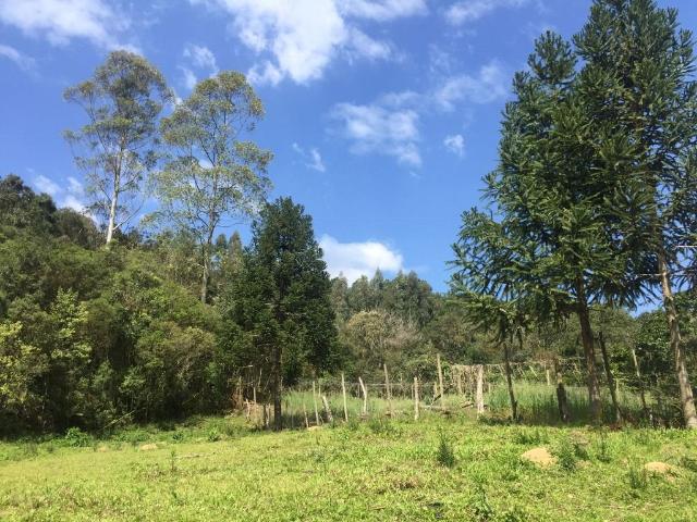 Terreno venda em Anitápolis, Região Geográfica Intermediária de Florianópolis