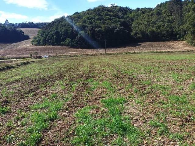 Terreno venda em Campo Magro, Região Geográfica Intermediária de Curitiba
