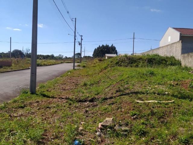 Terreno venda em Região Geográfica Imediata de Curitiba, Região Metropolitana de Curitiba