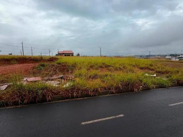 Terreno venda em Região Imediata de Franca, Juranda