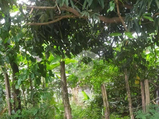 Terreno venda em Região Geográfica Imediata do Rio de Janeiro, Região Metropolitana do Rio de Janeiro