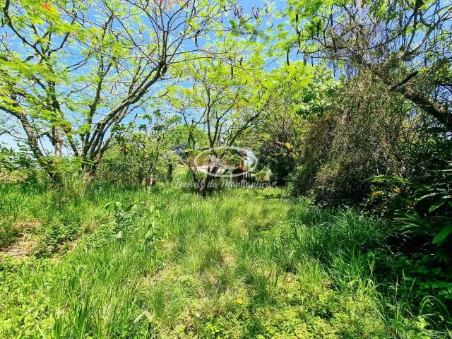 Terreno venda em Itatiaia, Região Geográfica Intermediária de Volta Redonda-Barra Mansa
