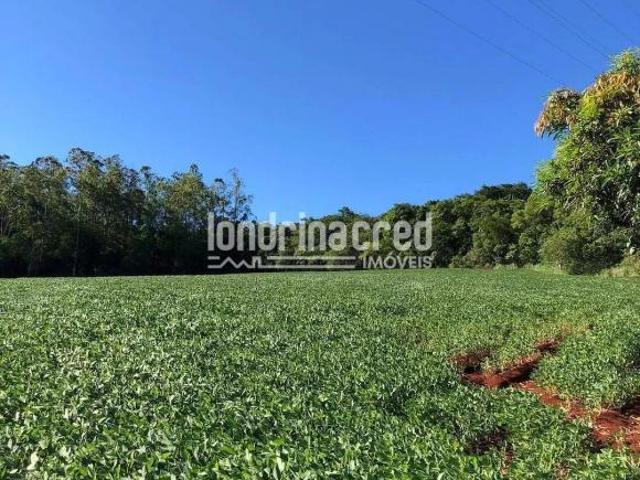Terreno venda em Região Geográfica Imediata de Londrina, Londrina
