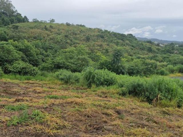 Terreno venda em Região Imediata de Jundiaí, Louveira