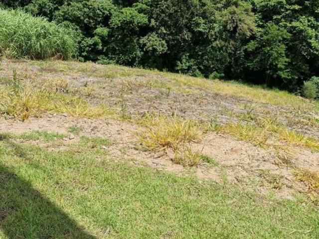 Terreno venda em Região Imediata de Campinas, Região Metropolitana de Campinas
