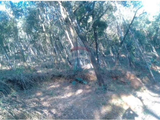 Terreno venda em Região Geográfica Imediata de Belo Horizonte, Região Metropolitana de Belo Horizonte