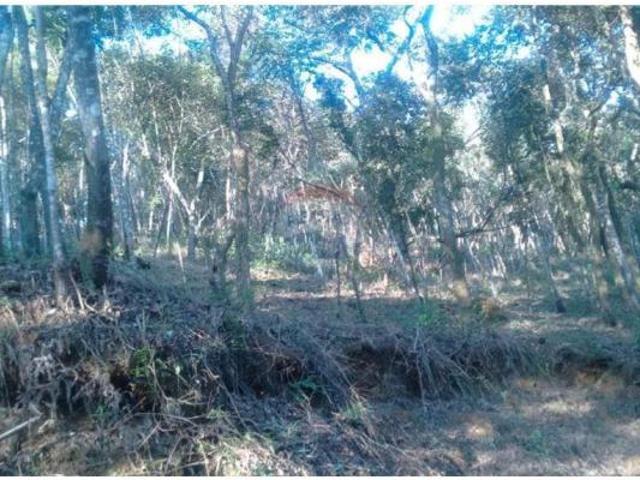 Terreno venda em Região Geográfica Imediata de Belo Horizonte, Região Metropolitana de Belo Horizonte