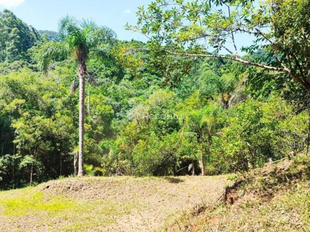 Terreno venda em Nova Petrópolis