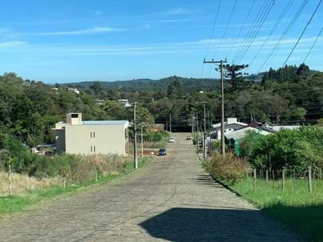 Terreno venda em Região Geográfica Imediata de Nova Prata - Guaporé, Prata
