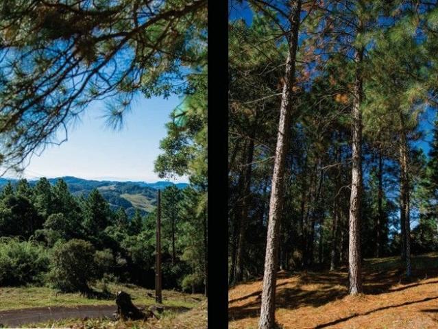 Terreno venda em Rancho Queimado, Região Geográfica Intermediária de Florianópolis