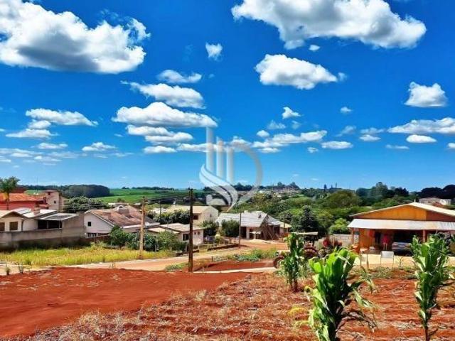Terreno venda em Selbach