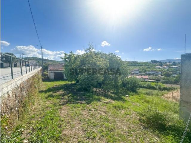 Terreno venda em Lamego, Viseu
