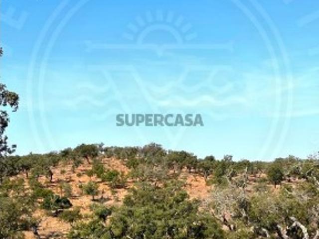 Terreno venda em Santiago Do Cacém, Silveiras Terreno venda em Santiago Do Cacém, Silveiras