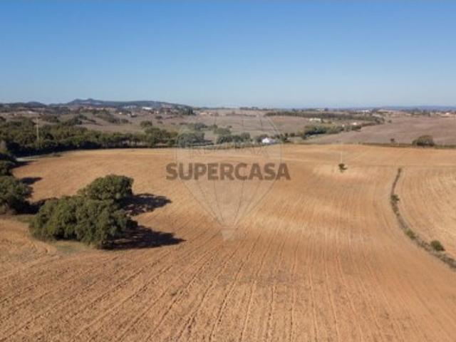 Terreno venda em Santiago Do Cacém, Catifarras Terreno venda em Santiago Do Cacém, Catifarras