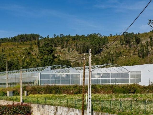 Terreno venda em Tarouba, Valença
