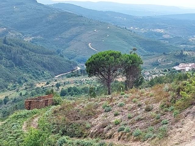 Terreno venda em Arganil, Coimbra