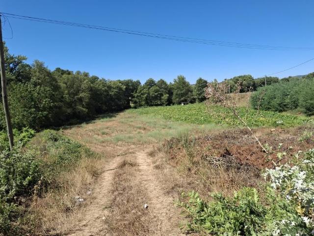 Terreno venda em Guarda, Trancoso