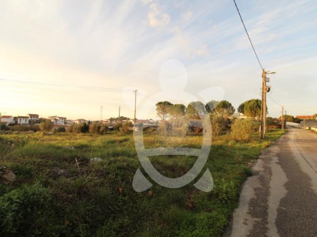 Terreno venda em Coimbrã, Cernache