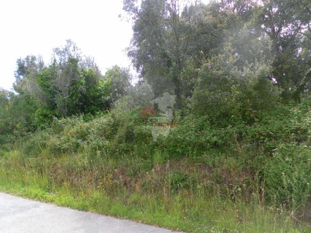 Terreno venda em Castelo Branco, Cumeada