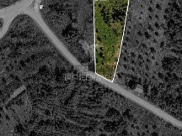Terreno venda em Castelo Branco, Cumeada