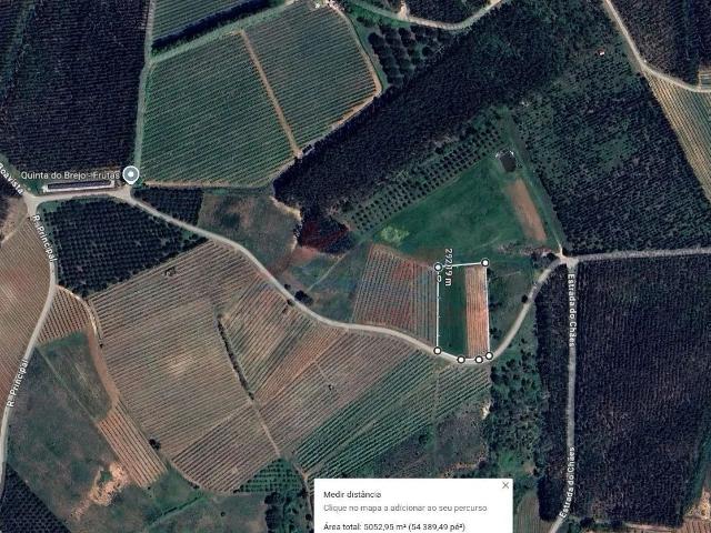 Terreno venda em Cadaval, Lisboa
